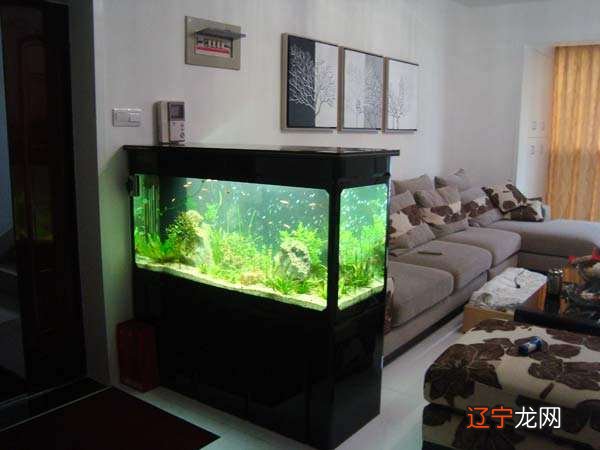 慈世堂:2022年鱼缸摆放的最佳位置,你知道吗?