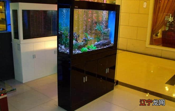 慈世堂:2022年鱼缸摆放的最佳位置,你知道吗?