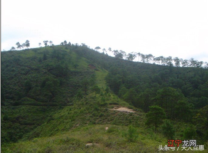 佑周家:吕洞宾神仙扮成乞丐天了,金钱落地