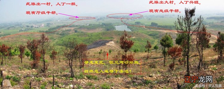 佑周家:吕洞宾神仙扮成乞丐天了,金钱落地