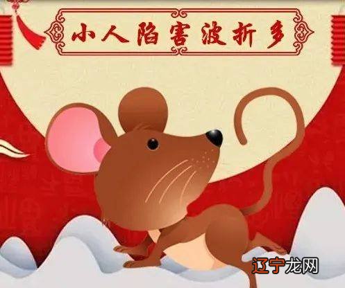 2018下半年整体运势如何,在哪些方面需要特别注意的生肖