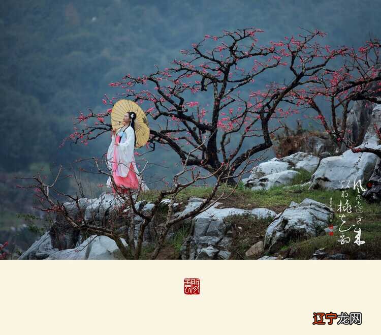 塔罗师明月：在心中默念自己十一月桃花运情况如何？