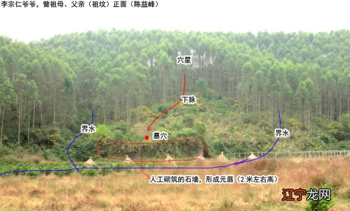 【李向东】胡小苗：有无相，难相补，长短对比，前后和。