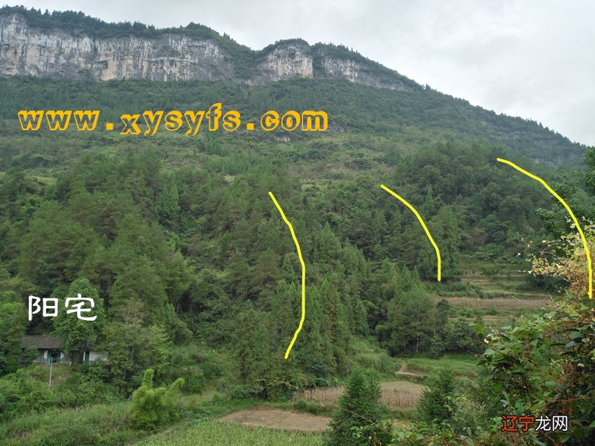 【李向东】胡小苗:有无相,难相补,长短对比,前后和。