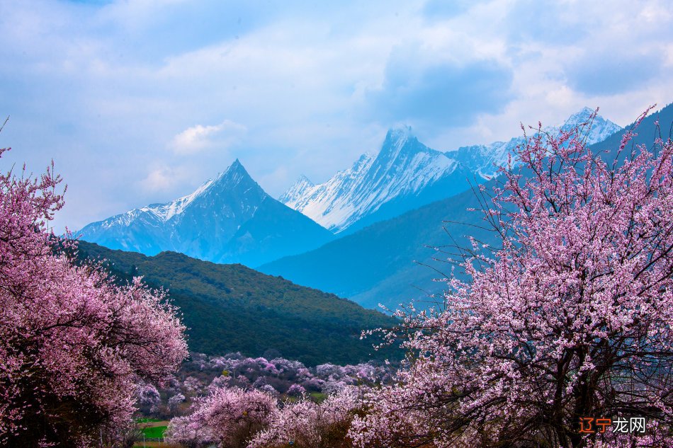 俗语说风水堂:什么命的人容易高官显达