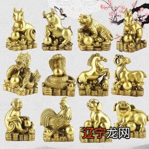 五行之分的生肖狗会有什么不同?你知道吗?