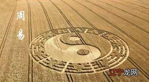 风水、八字、预测!(图)