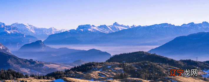 2016年10月23日 97属牛女属相婚配表