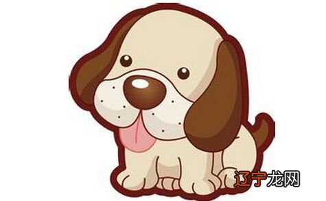 组图 2018年正值生肖狗本命年,可以说是运势