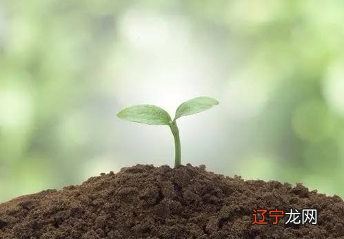 风水堂：什么样的八字不带四库