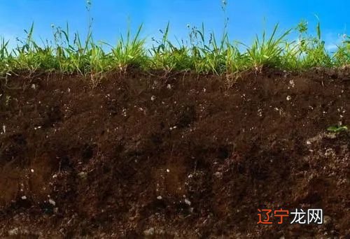 风水堂：什么样的八字不带四库