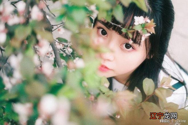 十二星座今日运势,2016年10月23日!