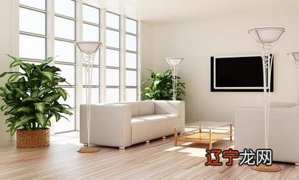 风水植物怎么摆放才算是好的布局呢??