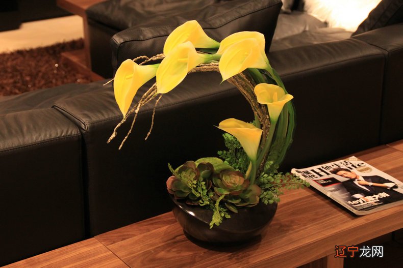 风水植物怎么摆放才算是好的布局呢??