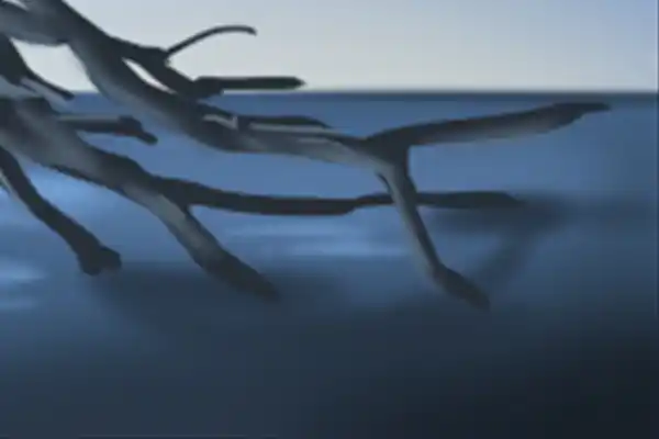 家中植物摆放风水有什么讲究,应该摆放什么位置比