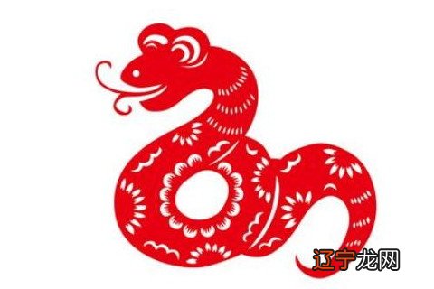 #十二生肖#2022年生肖属蛇人全年运势运程运程