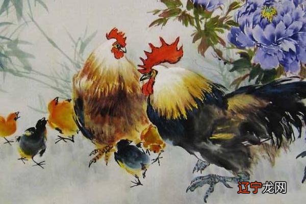 属鸡的和什么属相最配（男、女） 属鸡的几月出生最好