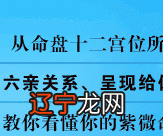 组图 南传术数在线专业八字排盘免费精准算命介绍