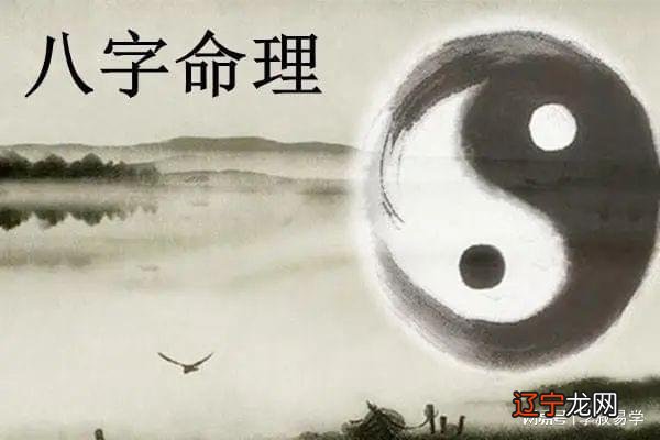 八字是一个人的命理_个人图书馆八字命理_新派八字命理课堂命理
