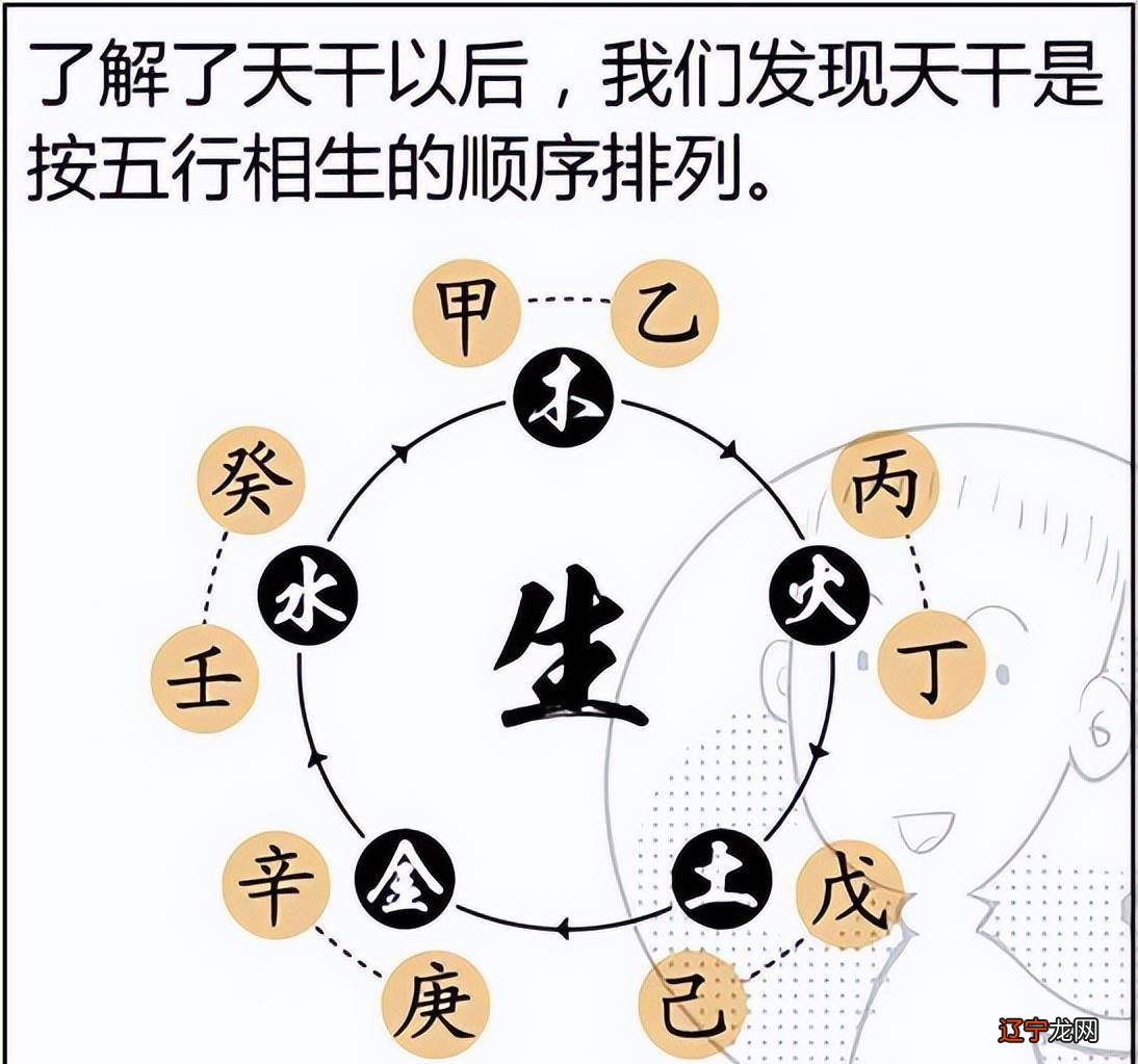 八字乙木 水 形体相貌的大框架，你知道几个？太准了！