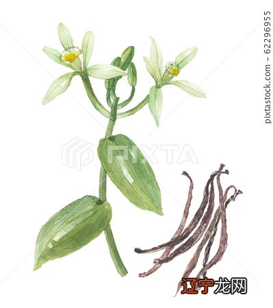 组图 ,厚重的文化底蕴诚如《民俗志?概述》