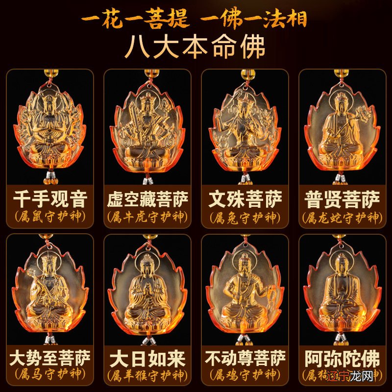 属鸡的守护神生肖_兔的生肖守护神_属兔佩戴什么生肖守护神