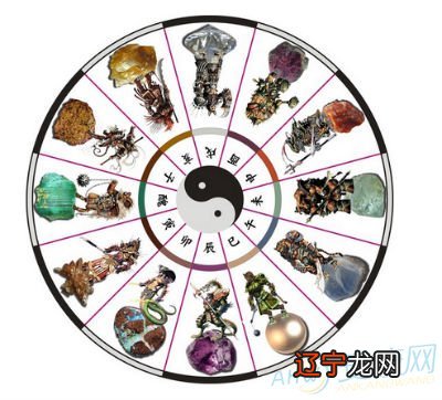 1969年出生人的命运土鸡的主人性格好动强