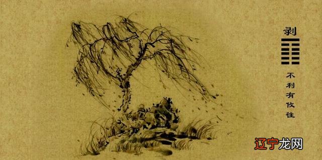 卦象占卜 奇闻心花样12月29日06:42关注确定不再关注此人吗