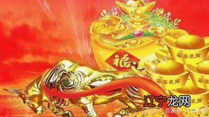 风水堂:食伤泄秀是什么意思