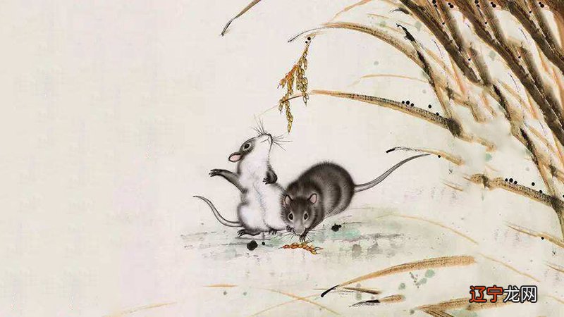 属虎人今年与什麽属相人相冲,父女都属虎相克吗