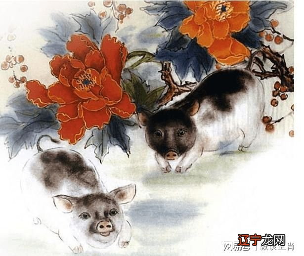 男猪女龙相配吗猪女龙的婚配怎么样在爱情中