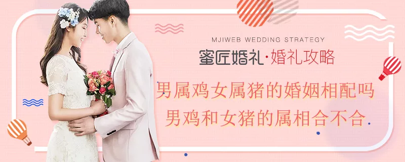 男猪女龙相配吗猪女龙的婚配怎么样在爱情中