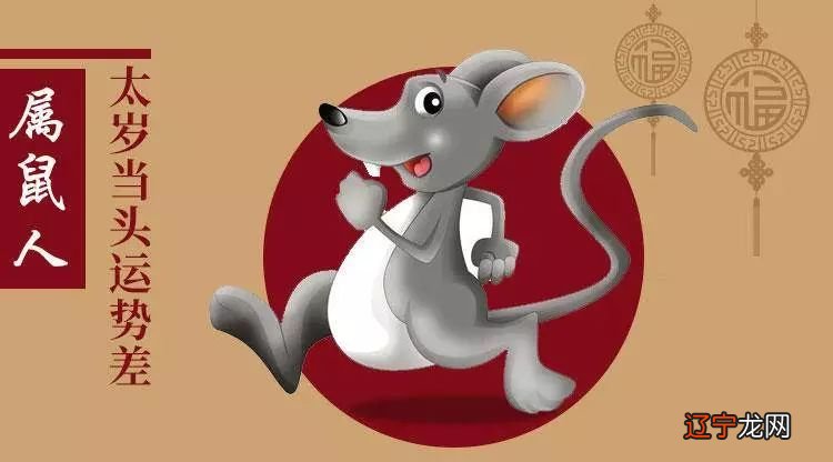 日柱看2016年运势_天上火命2019年运势_看本命年运势