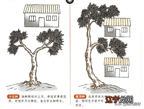 15张漫画详解住宅风水的那些煞气！请尽量避开