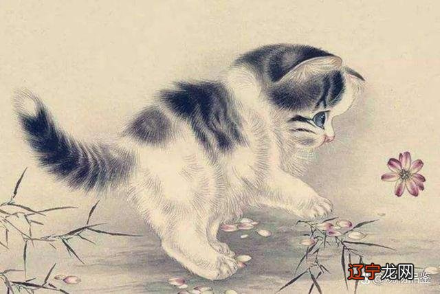 什么住宅适合养动物，什么样的住宅不适合？