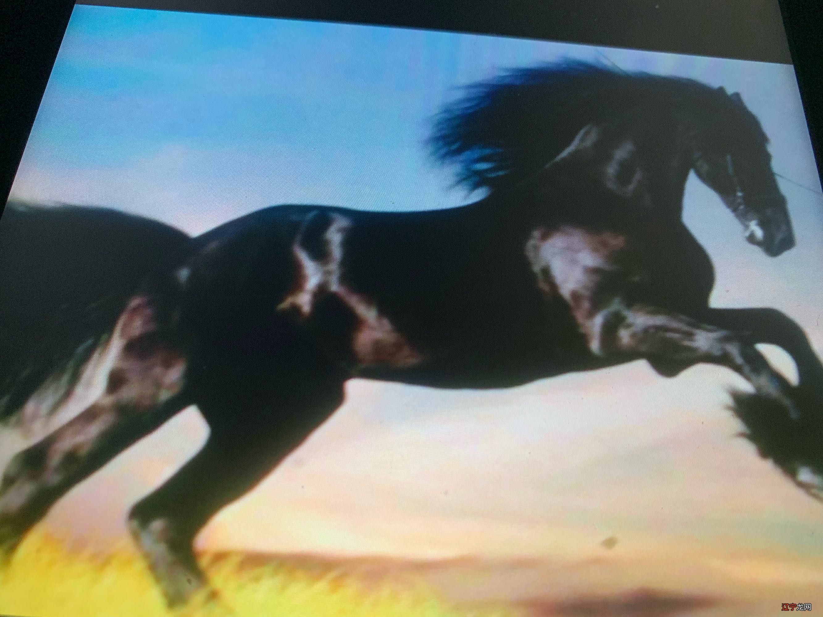 眼光锐利,洞察人心的三大生肖!世故、钱财上的收益