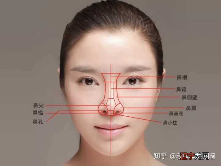 【李向东】怎么看鼻翼面相财运解析,看完你就知道了