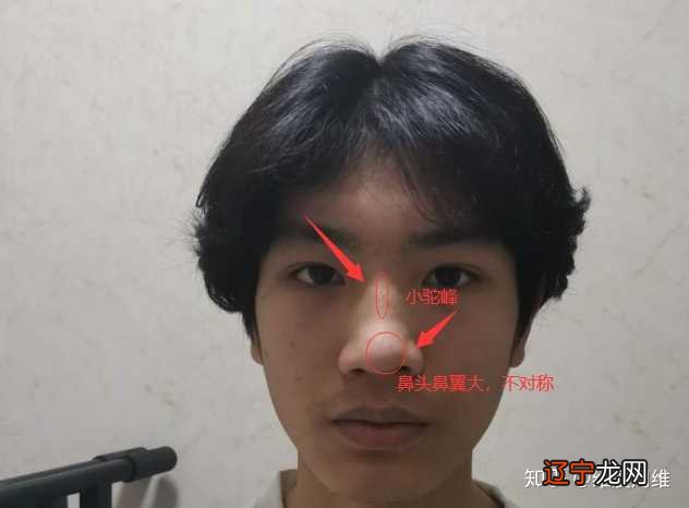 【李向东】怎么看鼻翼面相财运解析,看完你就知道了