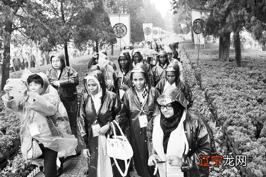 十大传统文化 台儿庄古城拥有京杭运河仅存的最后3公里,