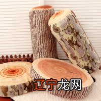 风水堂:八字中的甲木都是参天大树