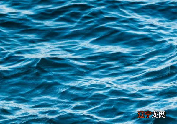 梦中梦见全是水是什么意思?哪些梦境都有预兆?