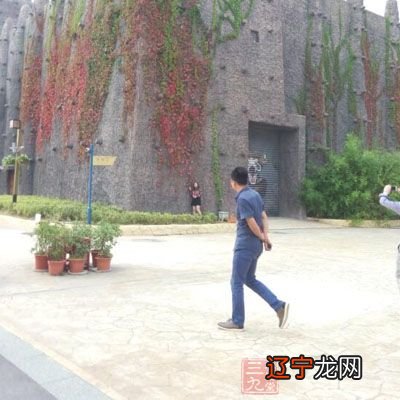 风水堂:坟墓上有这个后代会越过越穷