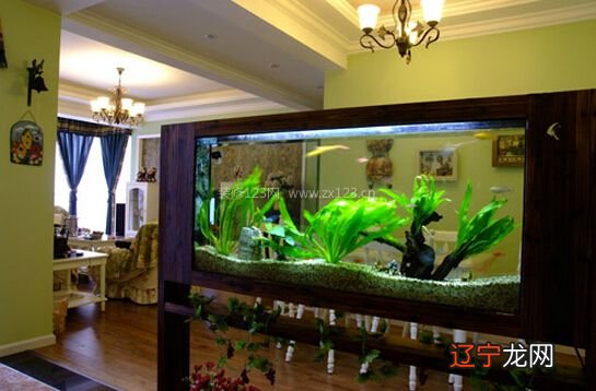 慈世堂：鱼缸宜忌的摆放方位财位之应用！