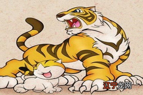 98年出生的属虎人2022年运势如何事业运势