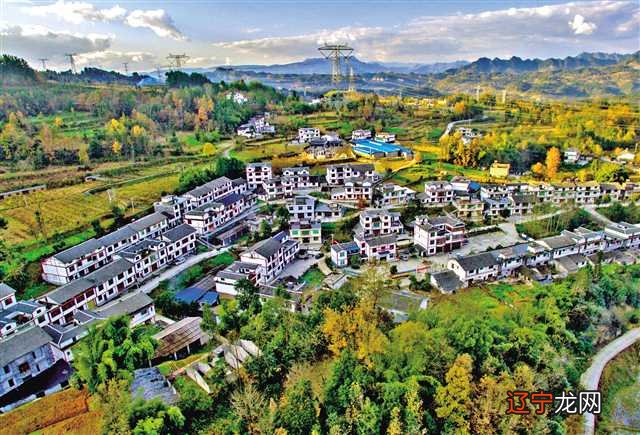 组图 石会镇中元新村冯家街道开展新时代文明实践活动