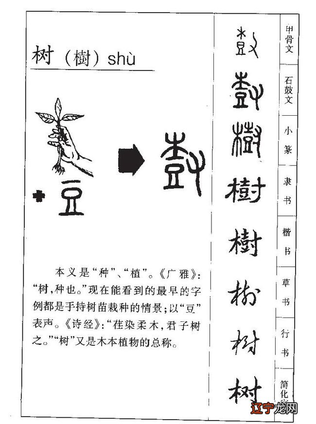 统字辈男孩取名大全_先字辈男孩取名大全_缪姓男孩取名元字辈