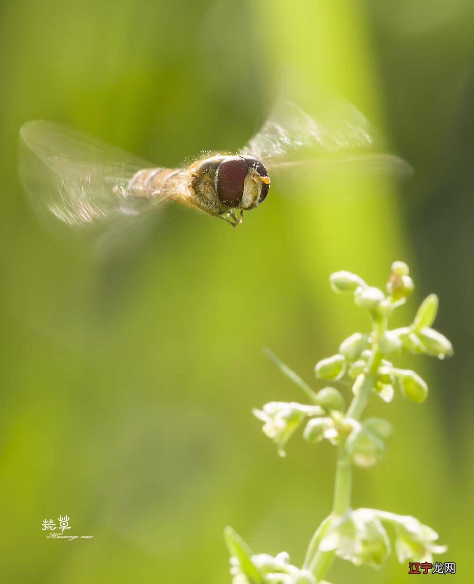 微 《传奇之抗战到底》第三届滨海国际电影节参赛影片