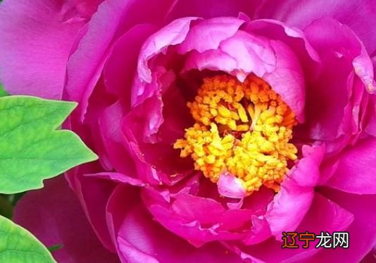 玄门周易:卧室窗户风水八大禁忌及化解方法!!