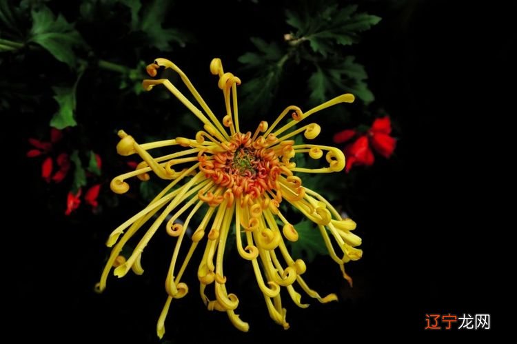 玄门周易:卧室窗户风水八大禁忌及化解方法!!