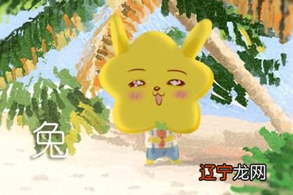 年属兔的人2017年有没有桃花运月最旺星座